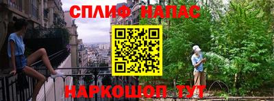 гидропоника Пенза