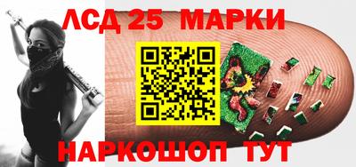 гидропоника Пенза